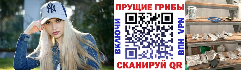 Галлюциногенные грибы мицелий  Кудымкар 